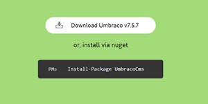 Card Image for Umbraco Basics – Manual Installation
