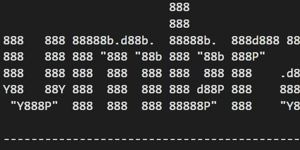 Card Image for Umbraco Basics – NuGet Installation for Umbraco 8